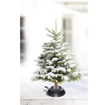 Sapin de Noël enneigé dans un support pour sapin de Noël