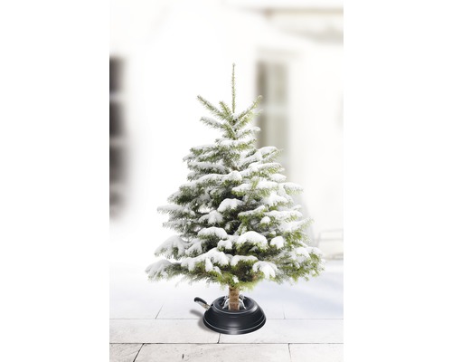 Sapin de Noël enneigé dans un support pour sapin de Noël