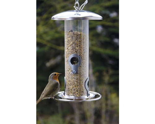 Vogelfutterspender mit Futter und einem Rotkehlchen