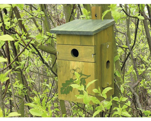 Nichoir en bois avec motif de feuille de chêne dans le jardin