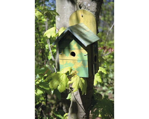 Nichoir en bois avec trou d''envol rond sur un arbre