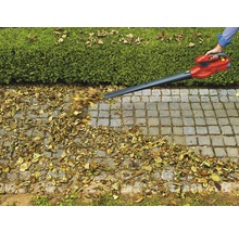 Eine Person benutzt einen Laubbläser zum Entfernen von Blättern von einem Steinweg neben einer Hecke.