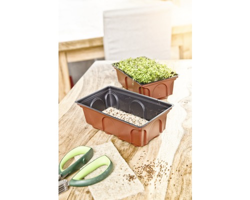 Kresseschalen mit Kressesamen, Saatmatte und Gartenschere auf einem Tisch