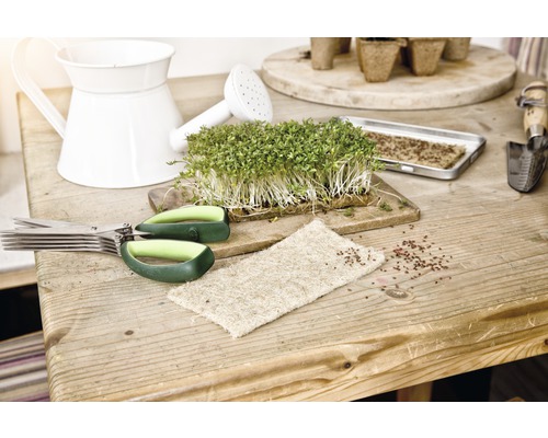 Scène de culture avec du cresson, des ciseaux, un arrosoir et un plateau de semis sur une table en bois