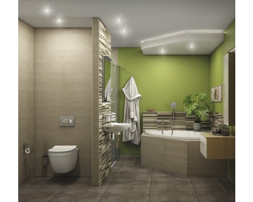 Salle de bains avec toilettes, lavabo, baignoire et mur vert