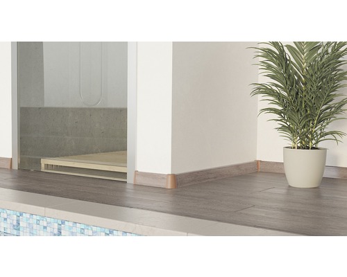 Innenraumszene mit Fußleisten, Bodenbelag und Zimmerpflanze in einem Topf