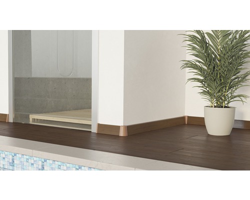 Innenaufnahme eines Badezimmers mit Holzfußboden, Wandverkleidung und Pflanze