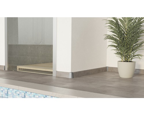 Salle de bains avec plinthes, carrelage, douche et plante d''intérieur