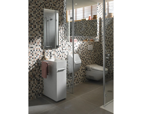 Modernes Badezimmer mit Mosaikfliesen, Waschtisch, Spiegelschrank und Duschkabine