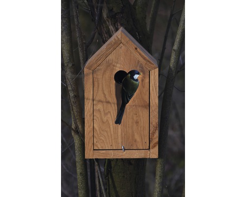 Holz Vogelhaus mit einer Kohlmeise