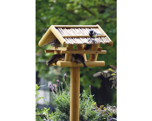 Vogelhaus aus Holz mit mehreren Vögeln