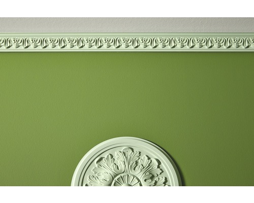 Plafond avec moulure décorative et rosette