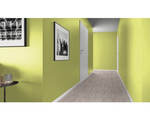 Couloir avec murs, plancher en bois et portes