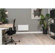 Büro mit Schreibtisch, Bürostuhl, Heizkörper, Zimmerpflanze und Dekoration für ein angenehmes Arbeitsumfeld