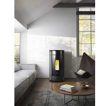 Pôele à granulés FreePoint Globe en acier gris anthracite 10.5 kW