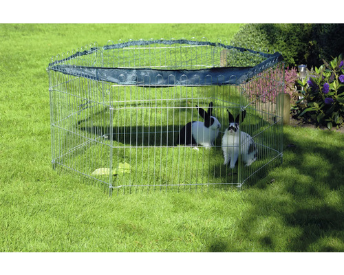 Parc d''éveil extérieur en métal avec deux lapins dans le jardin