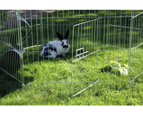 Lapins dans un enclos extérieur sur une pelouse