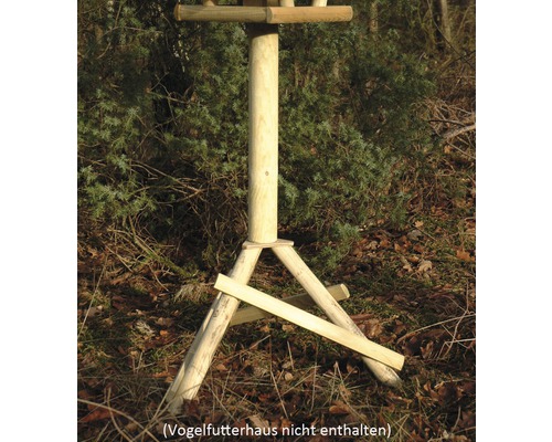 Support de nichoir en bois dans le jardin