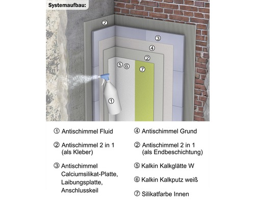 Structure du système pour lutter contre les moisissures avec un fluide anti-moisissures, un adhésif 2 en 1, une plaque de silicate de calcium, un apprêt, une couche de finition, un enduit à la chaux et une peinture au silicate.