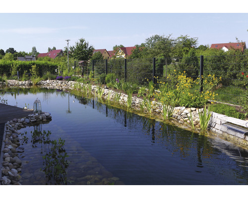 Bassin de jardin avec pierres, plantes et clôture en arrière-plan.