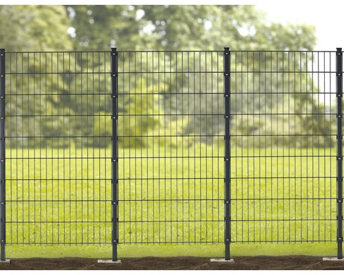 Doppelstabmattenzaun mit Zaunpfosten im Garten