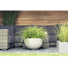 Scène de jardin décorative avec des plantes en pots et des meubles de salon