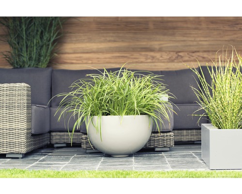Scène de jardin décorative avec des plantes en pots et des meubles de salon