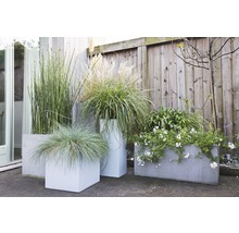Diverses plantes dans des bacs à fleurs devant une clôture en bois.