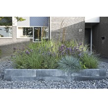 Jardinière avec diverses plantes dans le jardin