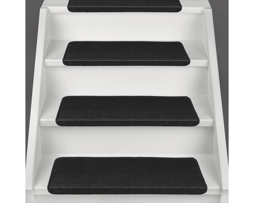 Escalier avec tapis d''escalier noirs