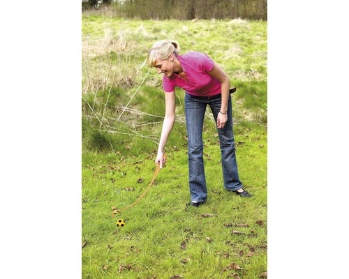 Femme utilisant un lanceur de balles sur une pelouse pour lancer une balle