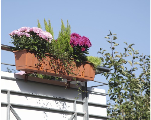 Blumenkasten mit verschiedenen Pflanzen und Blumen auf einem Balkon