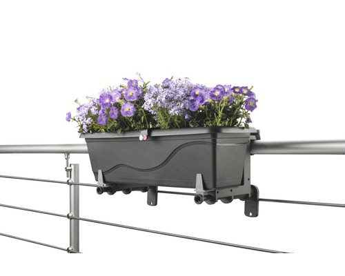 Blumenkasten zur Anbringung an einem Geländer mit lila Blumen