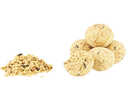 Boules de nourriture pour oiseaux et nourriture pour oiseaux en vrac