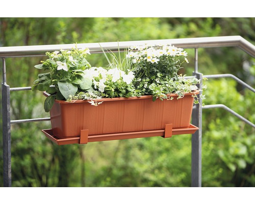Jardinière en plastique avec support et différentes plantes sur une balustrade de balcon