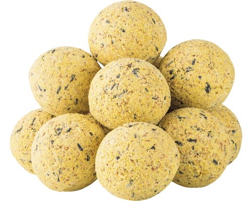 Pile de dix boules de graisse pour oiseaux sauvages