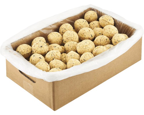Carton de boules de graisse pour oiseaux