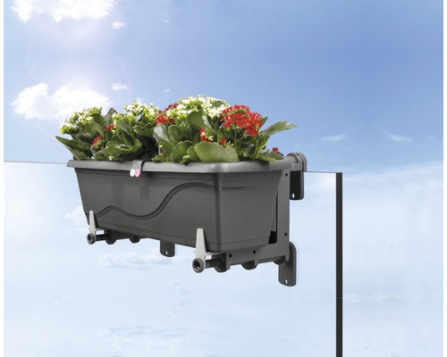 Grauer Balkonkasten mit Blumen zur Geländermontage