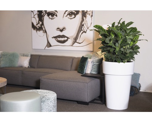 Einrichtungsbeispiel mit grauer Couch, Kunstwerk und Pflanze im weißen Pflanzgefäß
