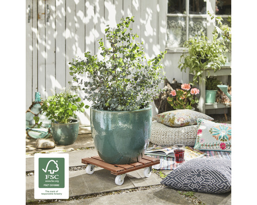 Scène de jardin avec plante en pot sur un support à roulettes et label FSC.
