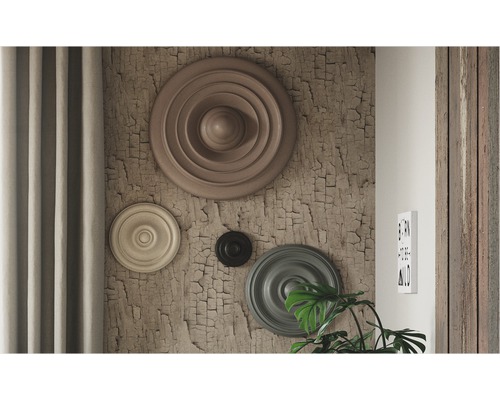 Espace de vie avec des rosaces en stuc sur un mur avec une surface craquelée