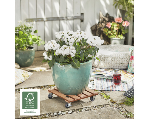Tabouret à fleurs à roulettes dans le jardin avec plante et pot de fleurs