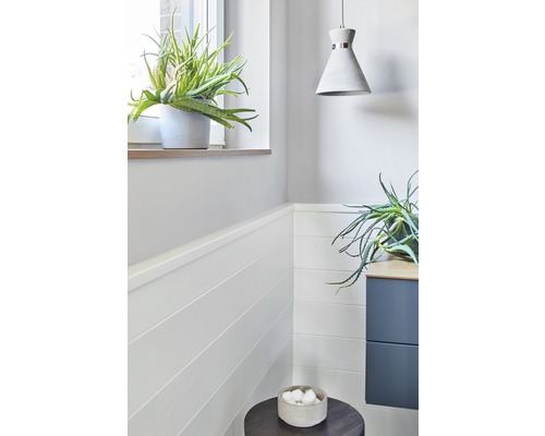 Salle de bains lumineuse avec plante d''aloe vera, suspension et meuble sous-lavabo