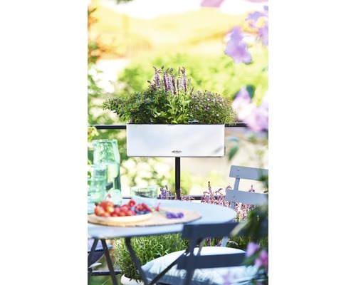 Scène de balcon avec jardinière plantée, table et chaises