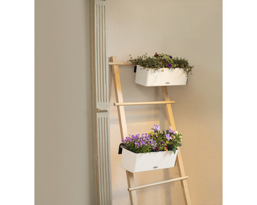 Échelle en bois avec deux pots de fleurs plantés pour la décoration intérieure