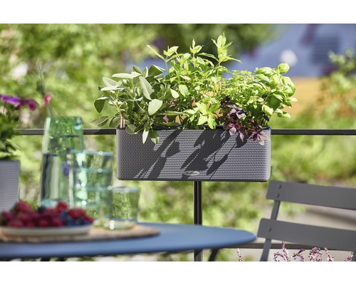 Scène de balcon avec jardinière plantée sur une balustrade