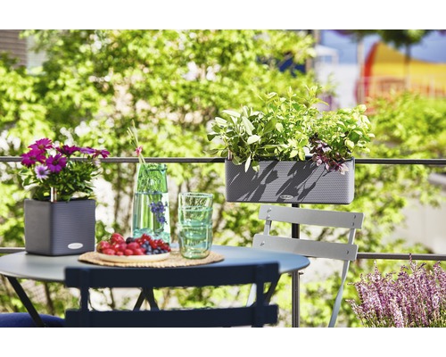 Scène sur un balcon avec table, chaise et pots de fleurs plantés