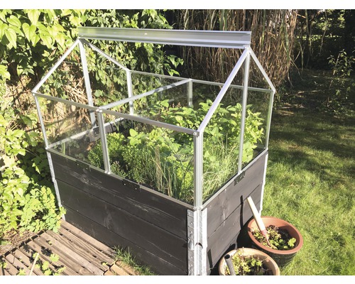 Mini-serre avec cadre en bois et plantes dans le jardin