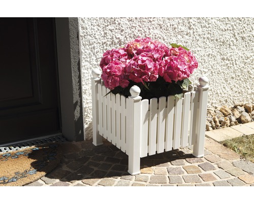 Blumenkasten aus Kunststoff mit pinkfarbener Hortensie