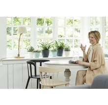 Cache-pot elho Brussels en plastique Ø 25 h 23 cm anthracite